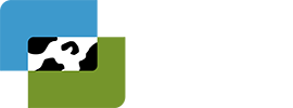 泰牛